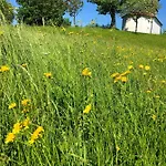Adori Apartman Ilirska Bistrica