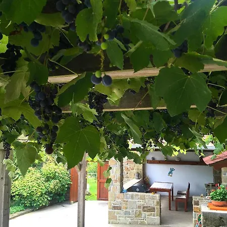 Adori Ilirska Bistrica