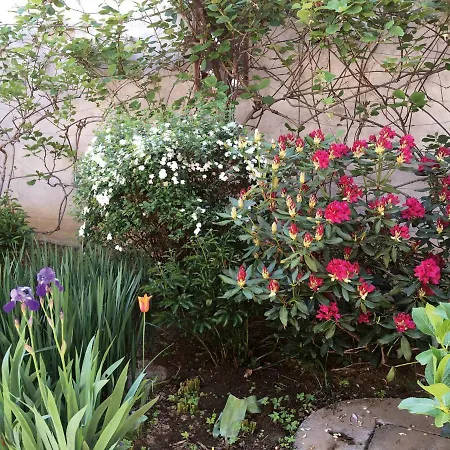 Apartament Adori Ilirska Bistrica