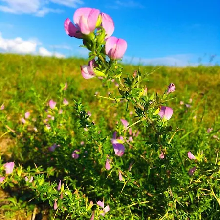 Adori Apartamento Ilirska Bistrica