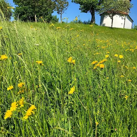 Adori Apartment Ilirska Bistrica