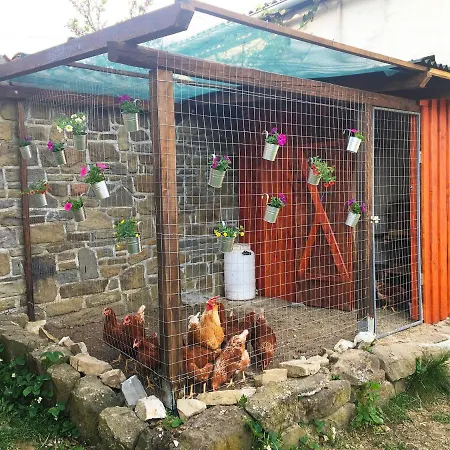 Adori Ilirska Bistrica