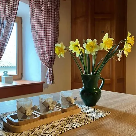 Adori Apartment