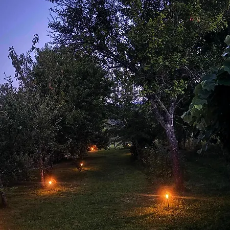 Adori Ilirska Bistrica