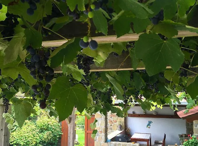 Adori Ilirska Bistrica