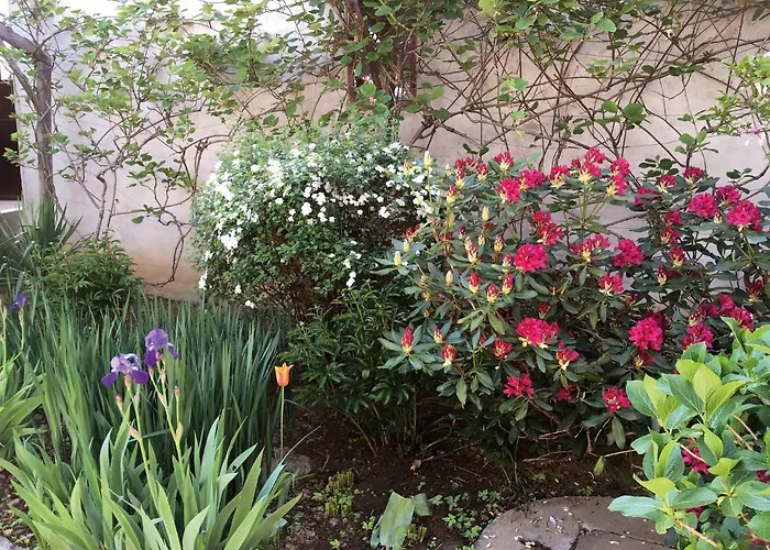 Apartament Adori Ilirska Bistrica