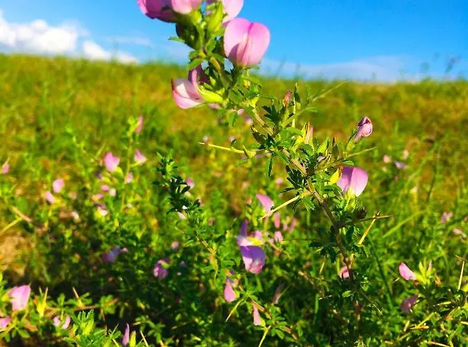 Adori Appartamento Ilirska Bistrica