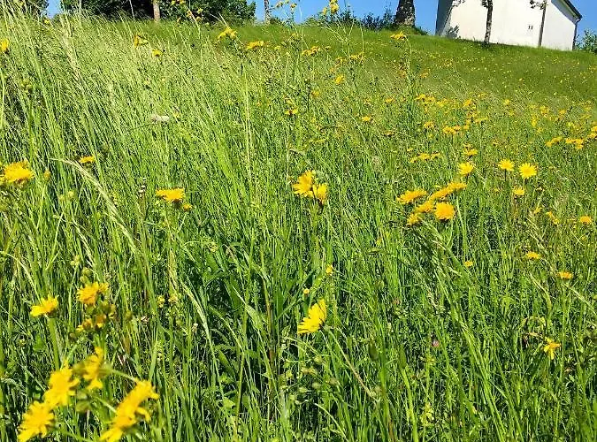 Adori Apartament Ilirska Bistrica