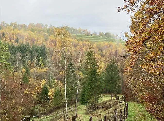 アパート Adori イリルスカ・ビストリツァ