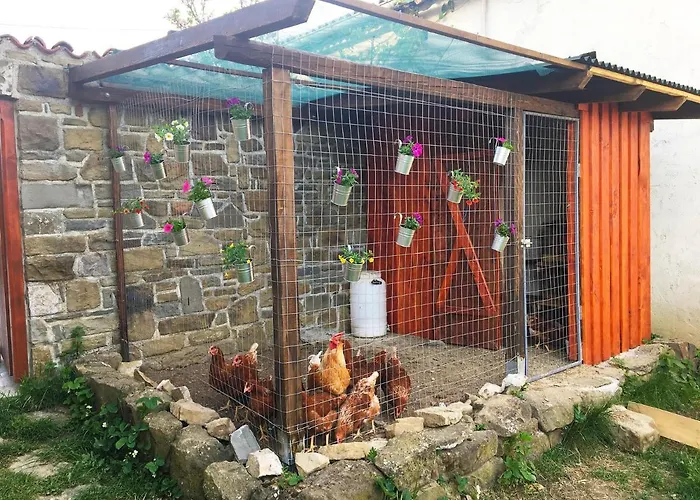 Adori Ilirska Bistrica