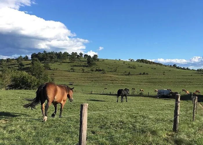Adori Appartamento Ilirska Bistrica